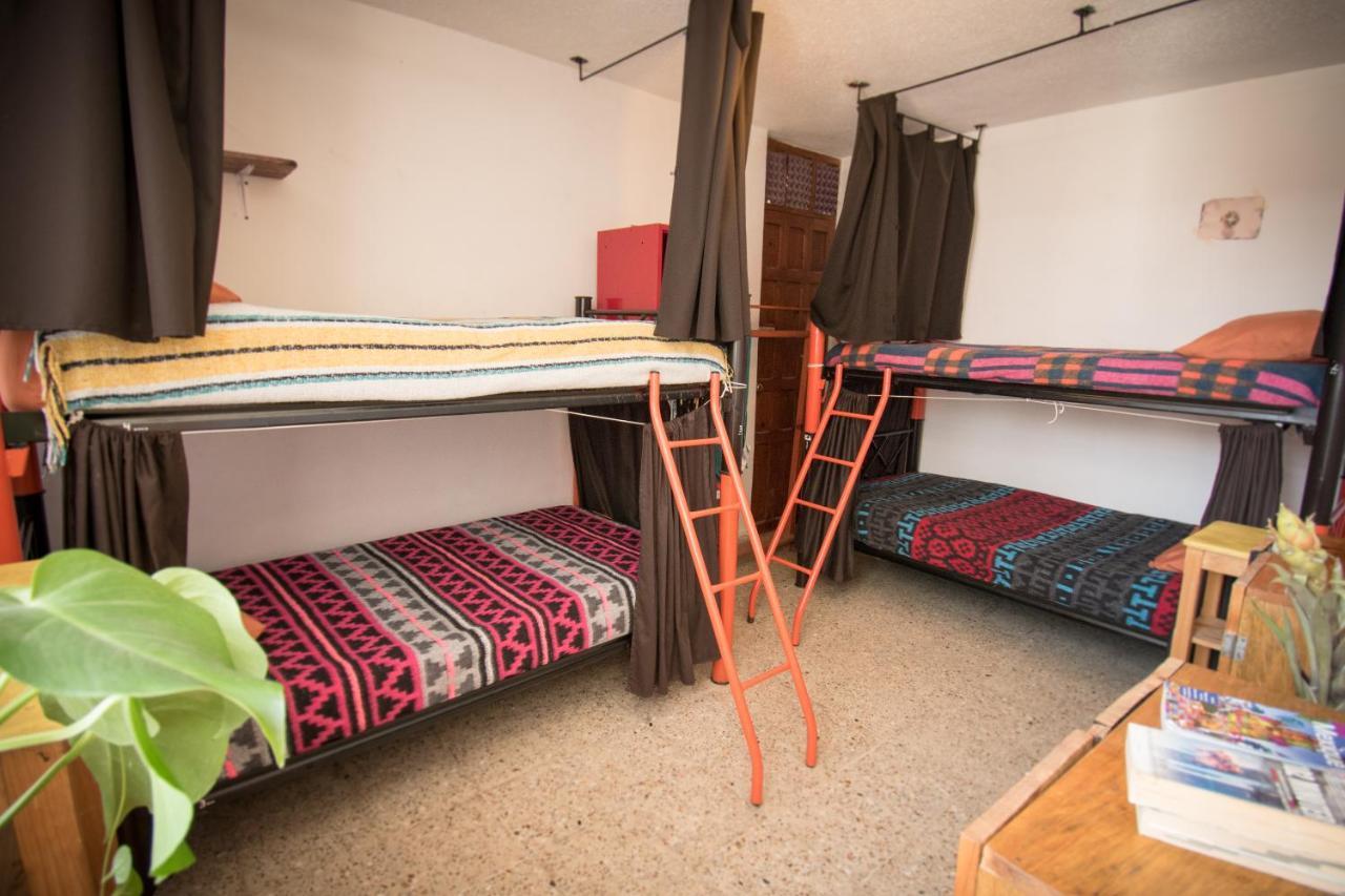 13 Cielos Hostel & Coworking San Cristóbal de Las Casas Eksteriør billede