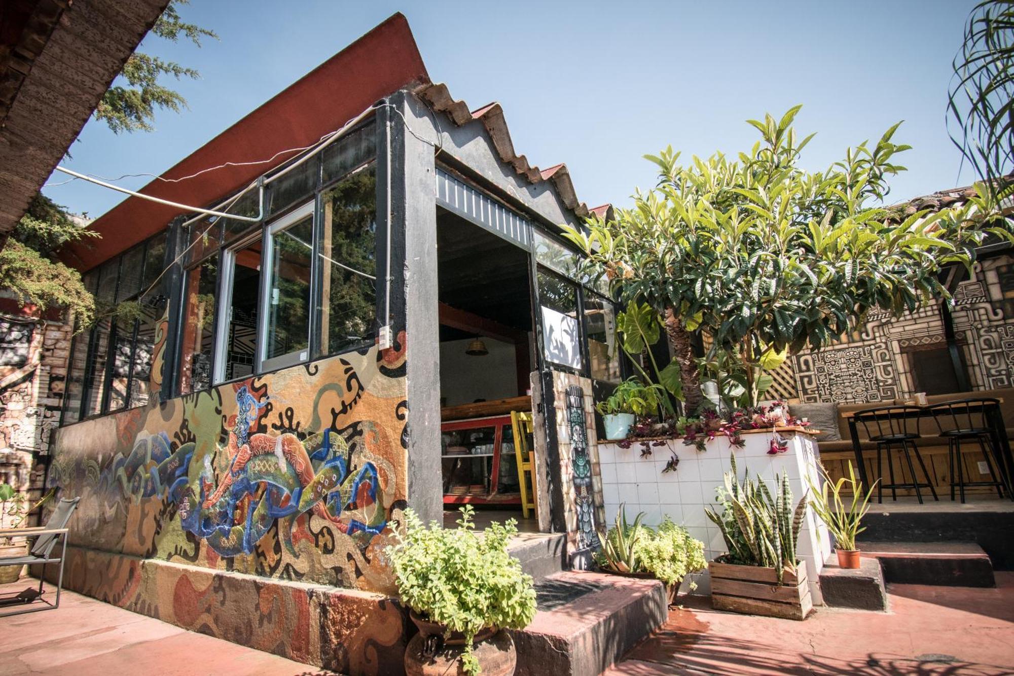 13 Cielos Hostel & Coworking San Cristóbal de Las Casas Eksteriør billede
